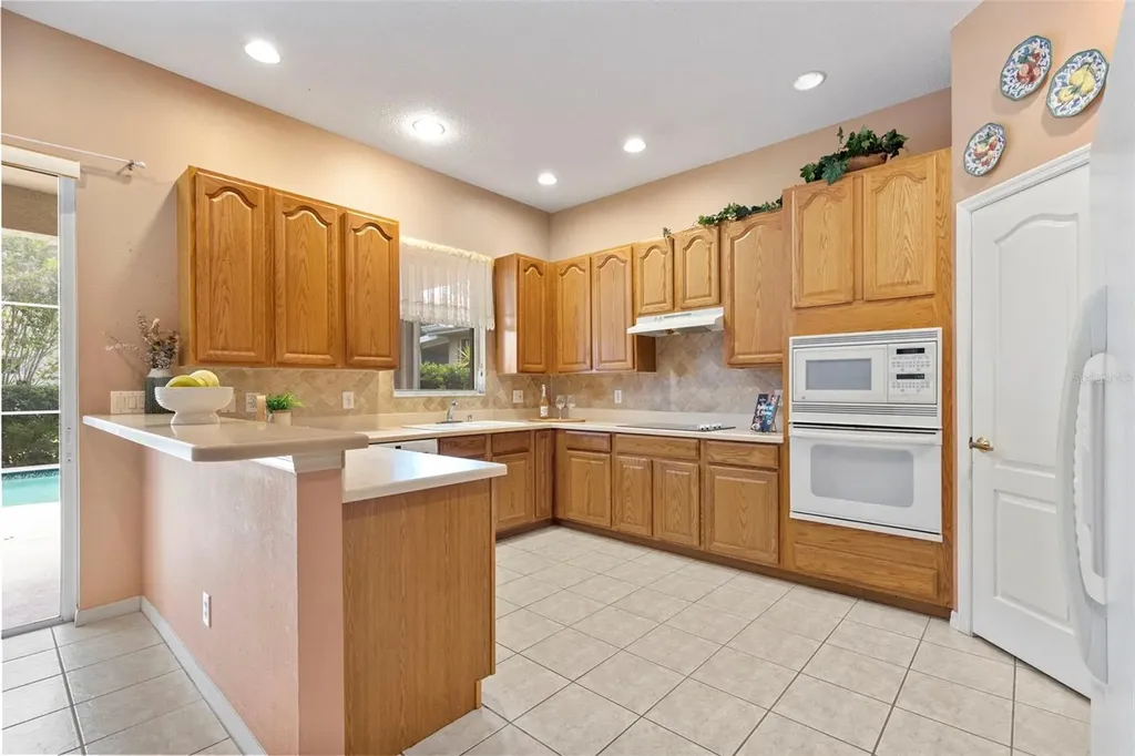 17823 Arbor Creek Drive Tampa FL 33647