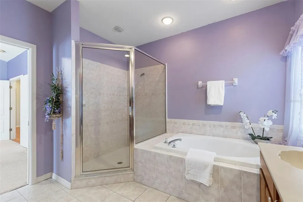 17823 Arbor Creek Drive Tampa FL 33647
