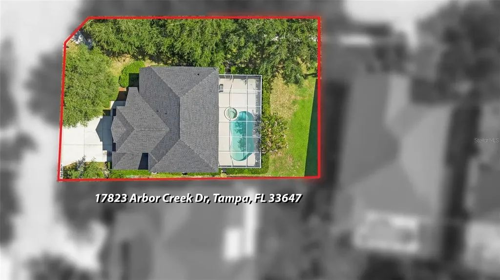 17823 Arbor Creek Drive Tampa FL 33647