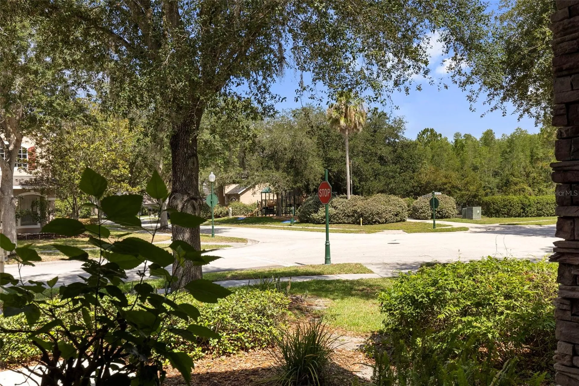 17823 Arbor Creek Drive Tampa FL 33647