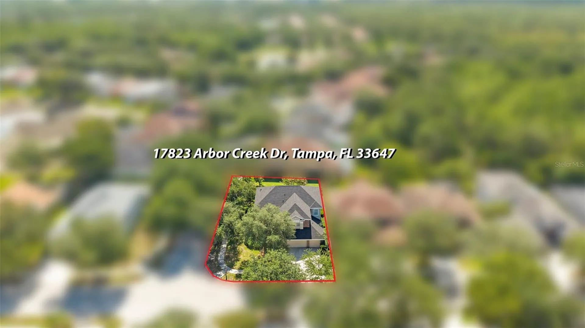 17823 Arbor Creek Drive Tampa FL 33647