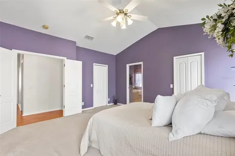 17823 Arbor Creek Drive Tampa FL 33647