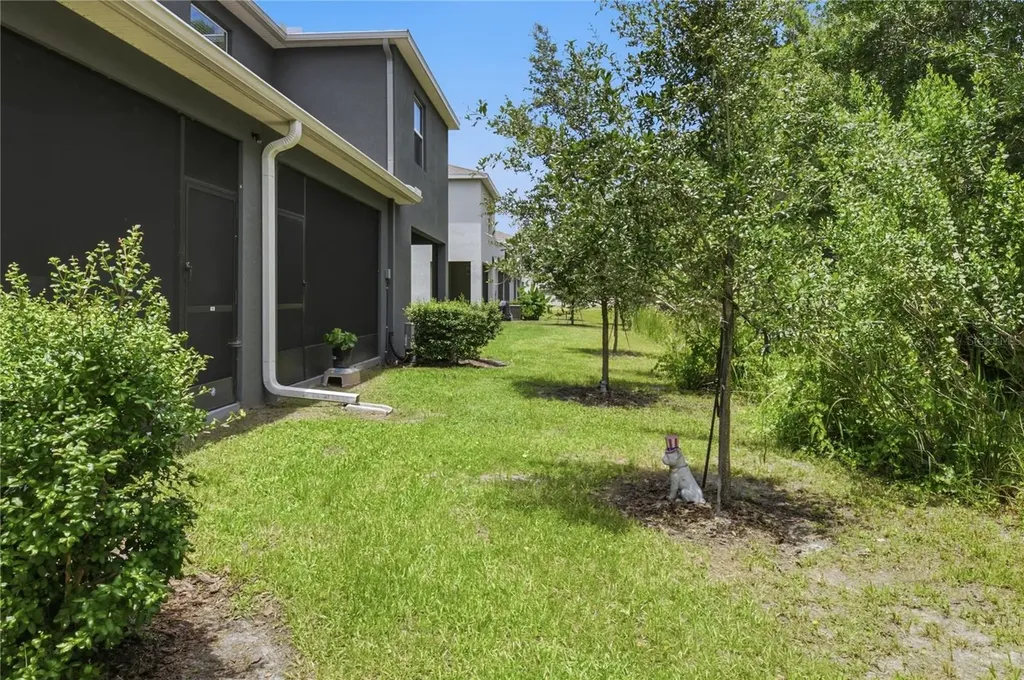 32825 Pez Landing Lane Wesley Chapel FL 33543