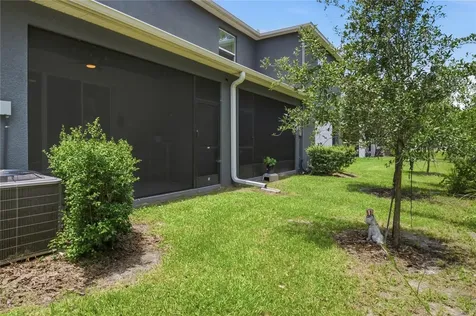 32825 Pez Landing Lane Wesley Chapel FL 33543
