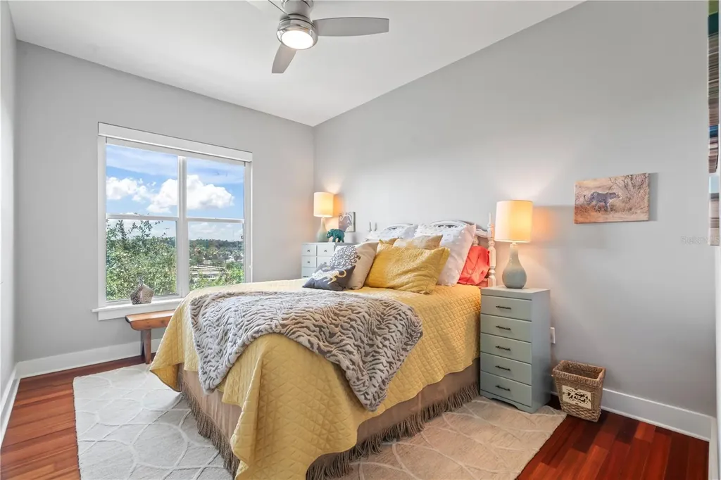 1501 Doyle Carlton Drive Tampa FL 33602