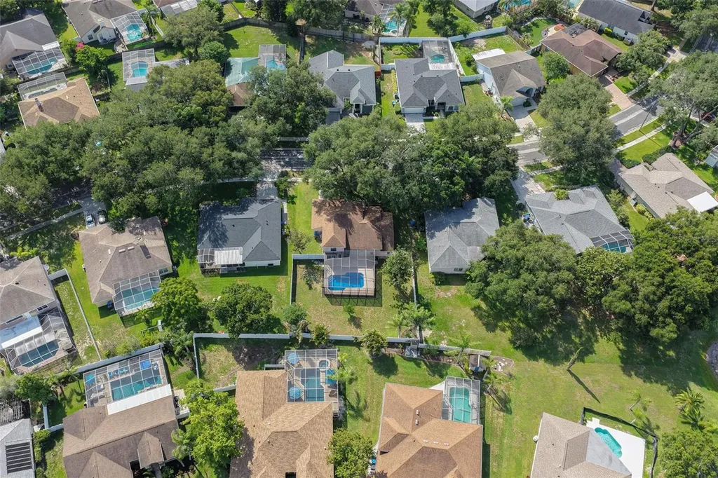19511 Wyndmill Circle Odessa FL 33556