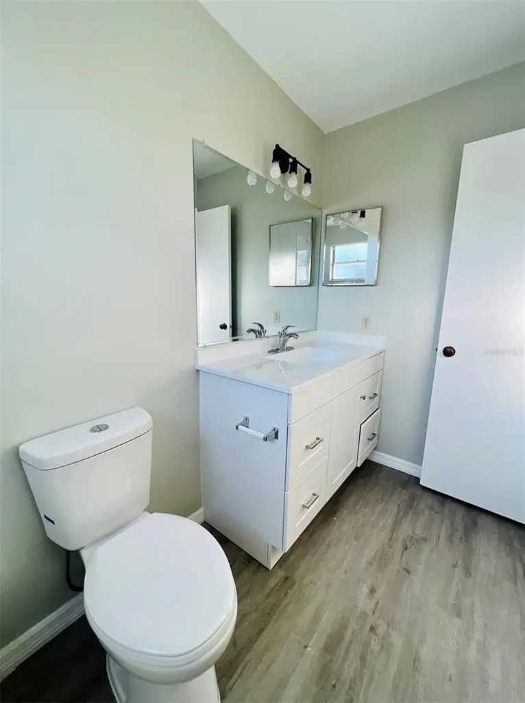 1610 Palm Leaf Drive Brandon FL 33510