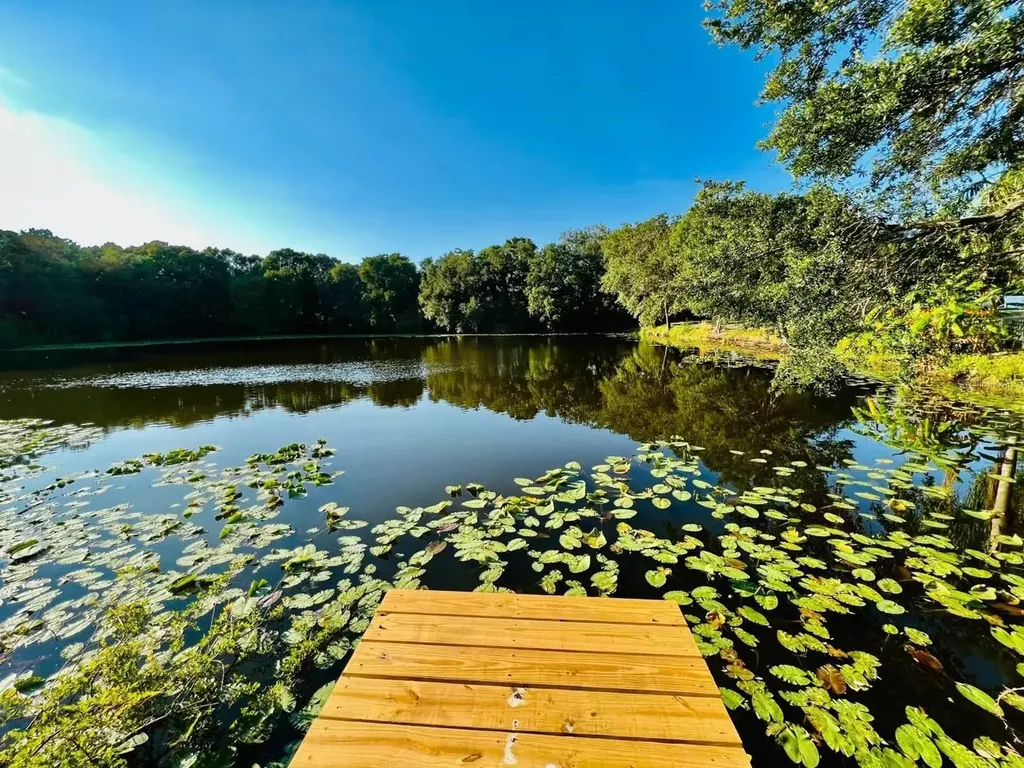 1610 Palm Leaf Drive Brandon FL 33510