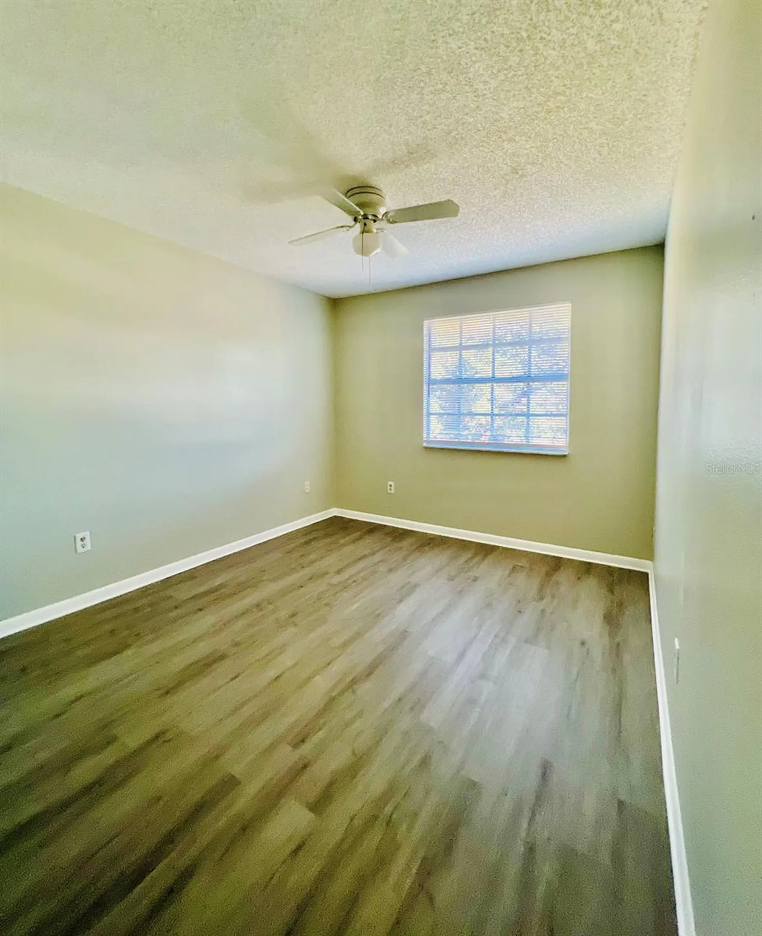 1610 Palm Leaf Drive Brandon FL 33510