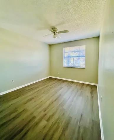1610 Palm Leaf Drive Brandon FL 33510