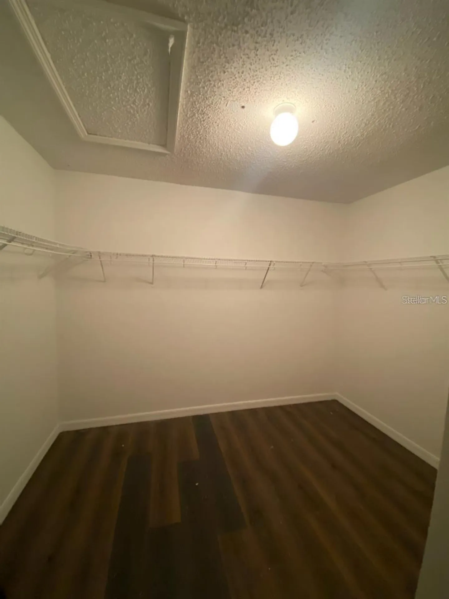 10206 Beneva Drive Tampa FL 33647
