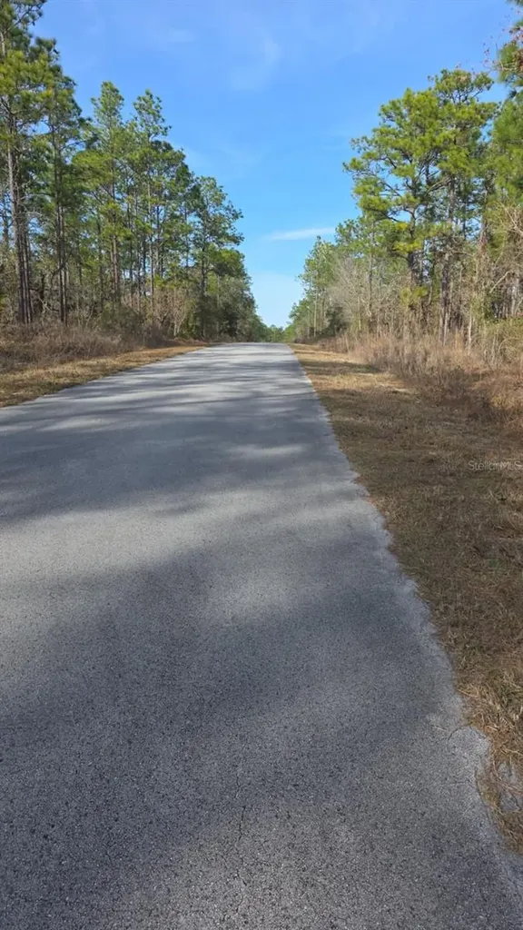 0 NW Alvarez Rd N NW Alvarez Rd Highway Dunnellon FL 34431