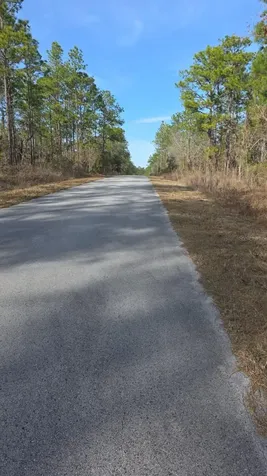 0 NW Alvarez Rd N NW Alvarez Rd Highway Dunnellon FL 34431
