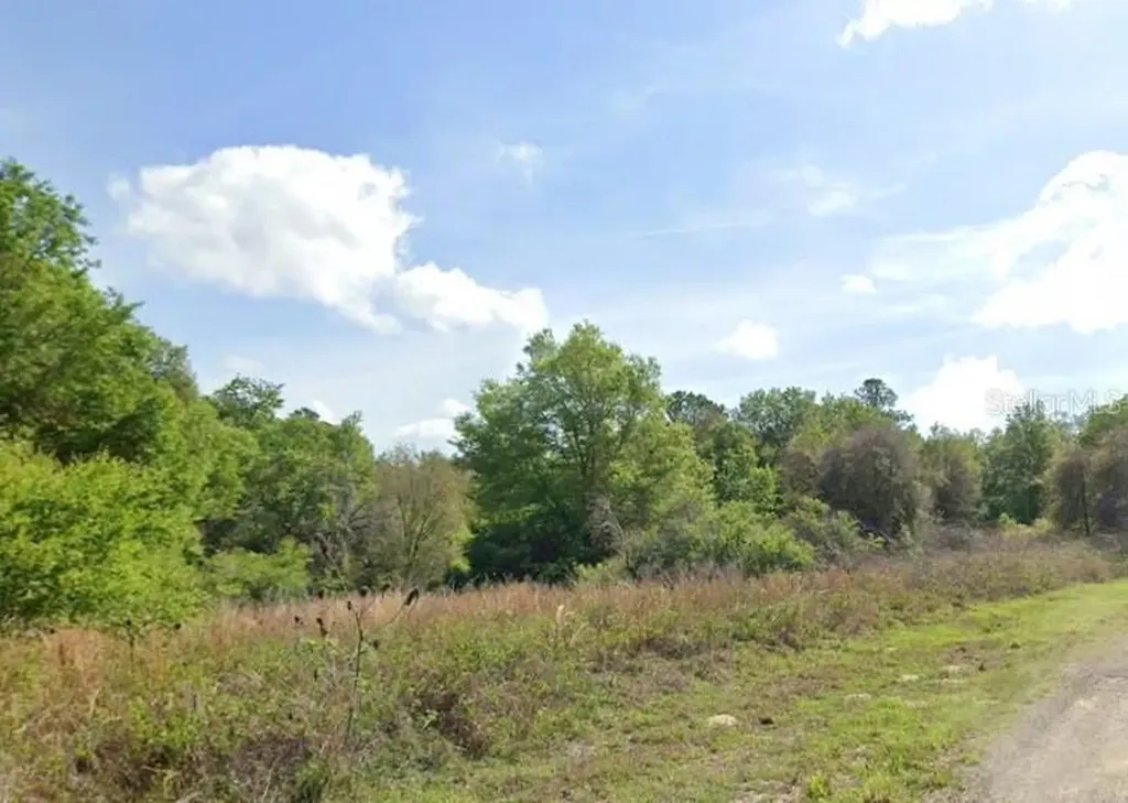 7995 N Walton Terrace Dunnellon FL 34434