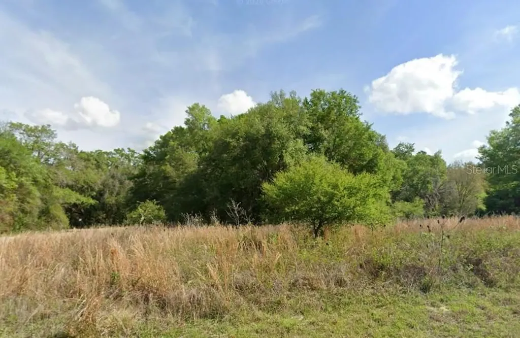 7995 N Walton Terrace Dunnellon FL 34434