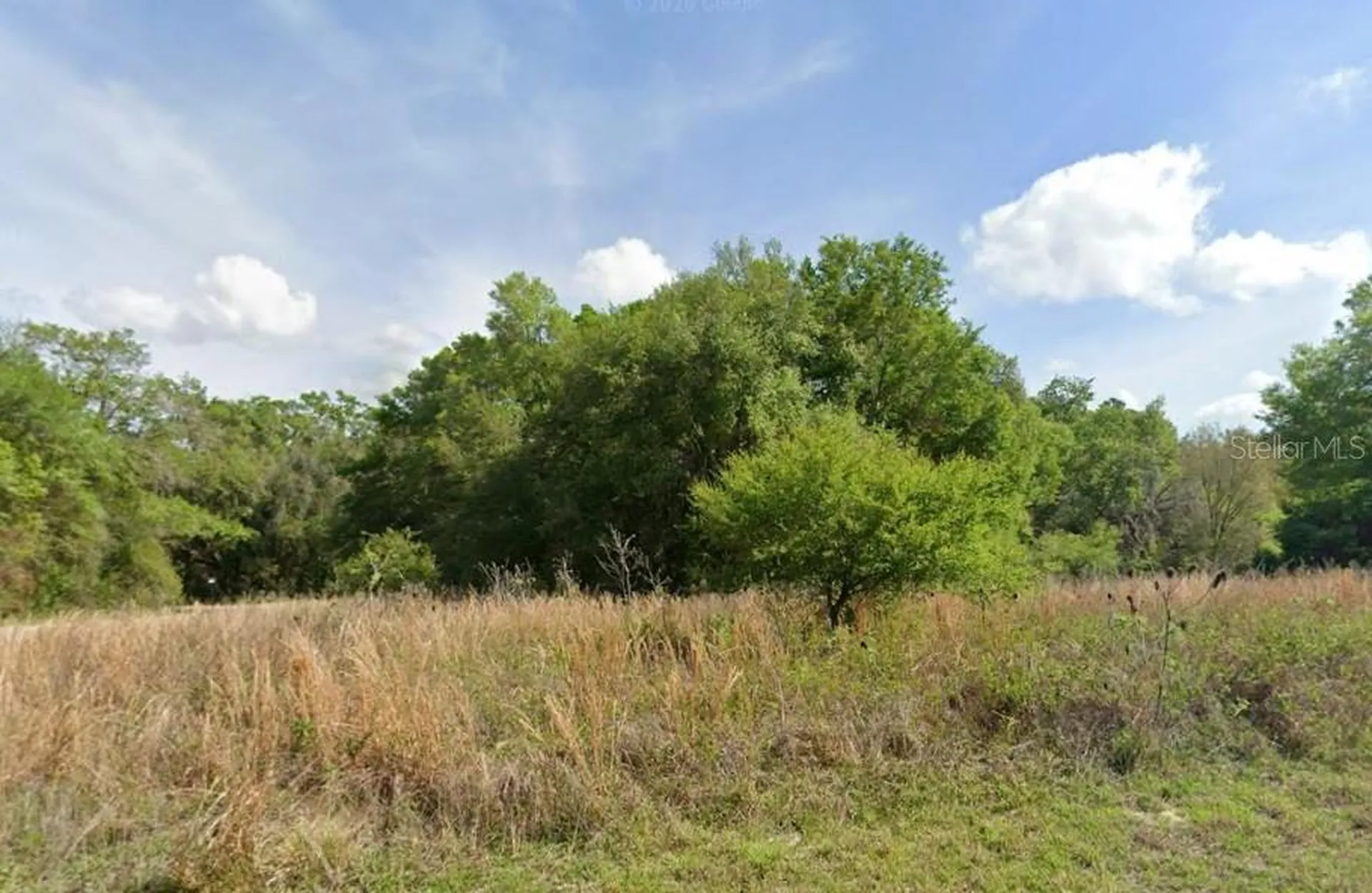 7995 N Walton Terrace Dunnellon FL 34434
