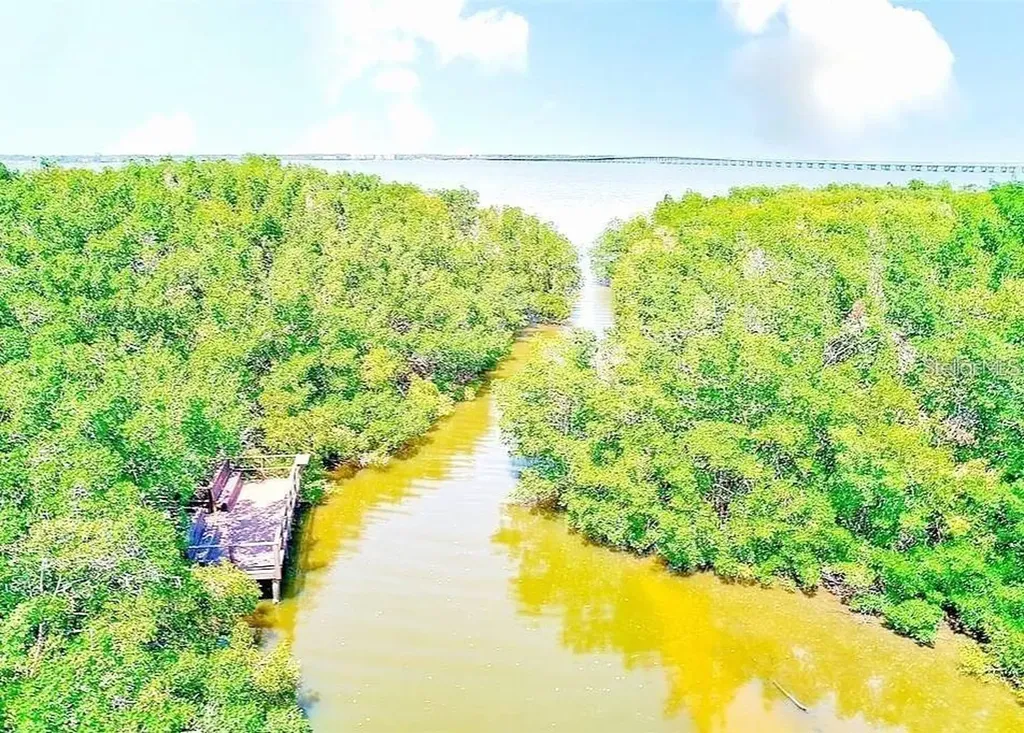 2935 Lichen Lane Clearwater FL 33760