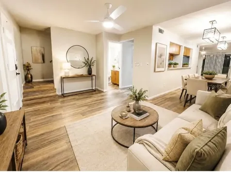 2935 Lichen Lane Clearwater FL 33760