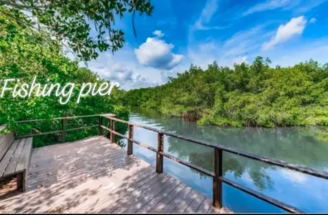2935 Lichen Lane Clearwater FL 33760