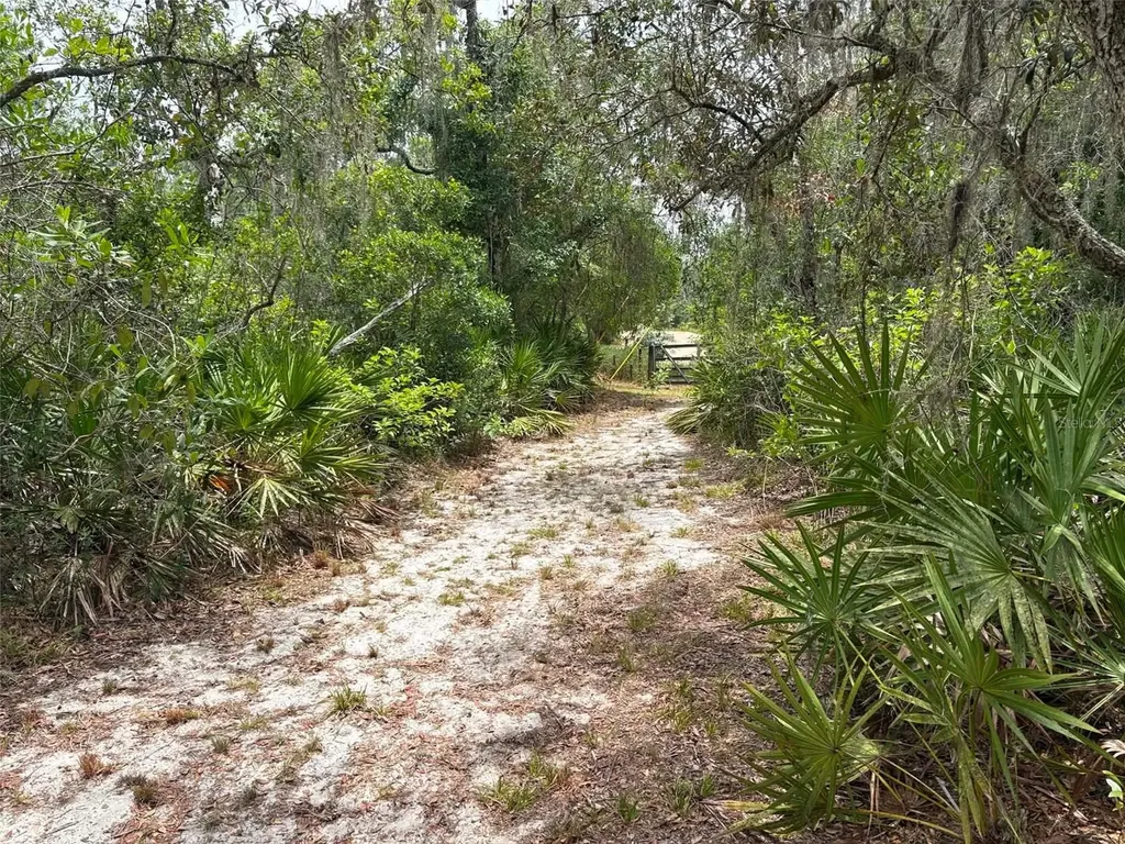 0 Millstream Drive Groveland FL 34736