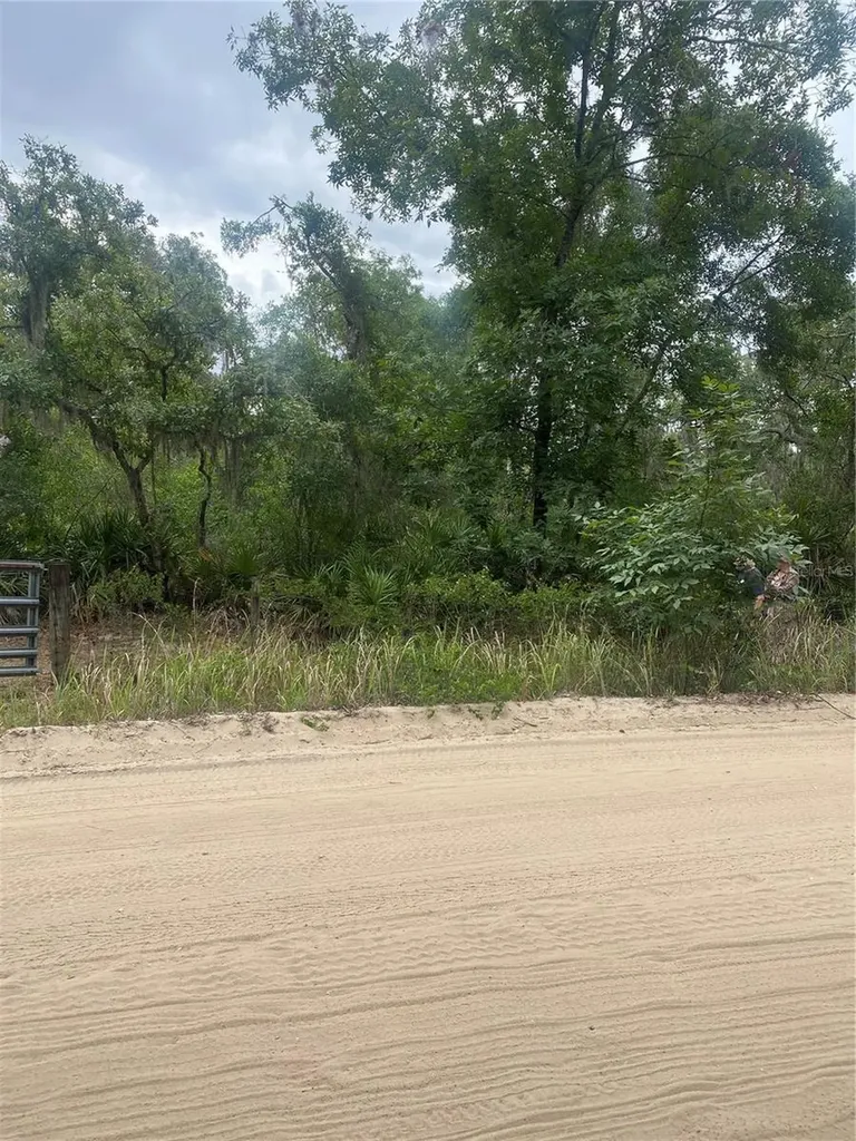 0 Millstream Drive Groveland FL 34736