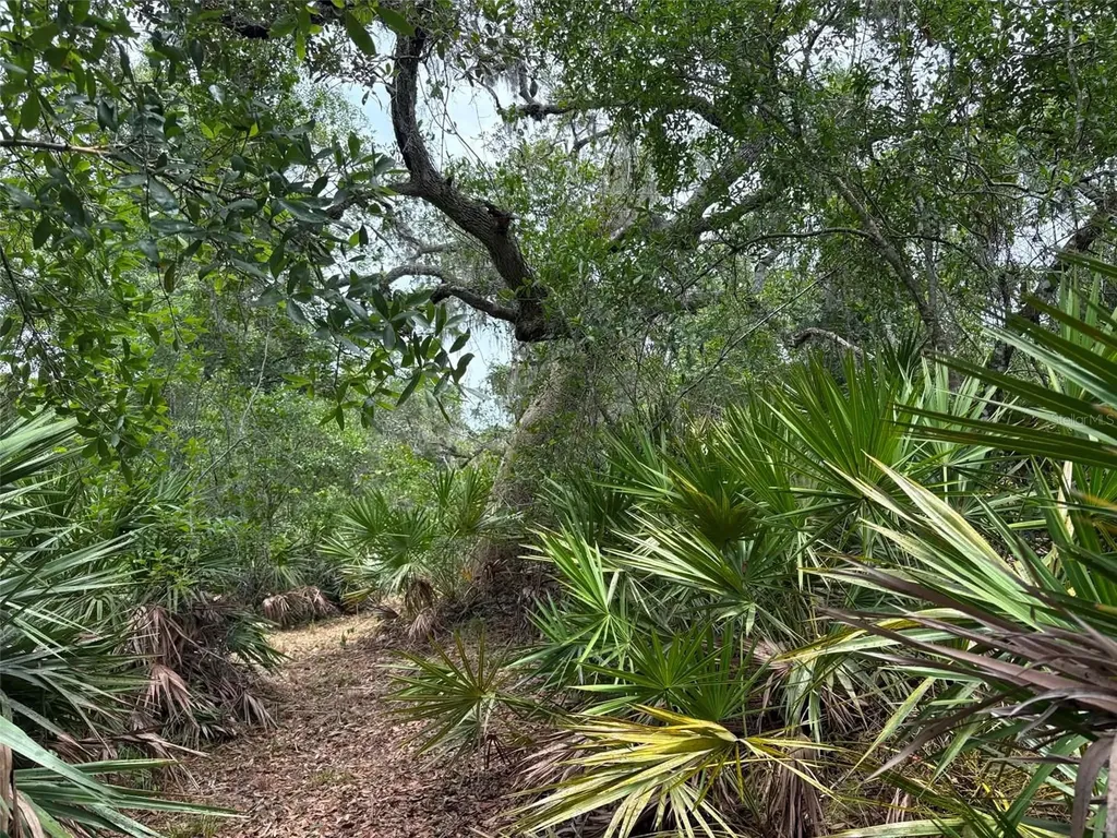 0 Millstream Drive Groveland FL 34736