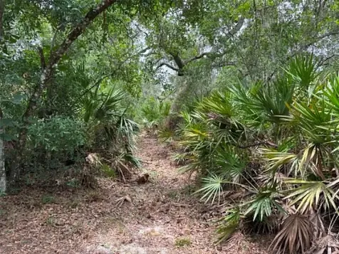 0 Millstream Drive Groveland FL 34736