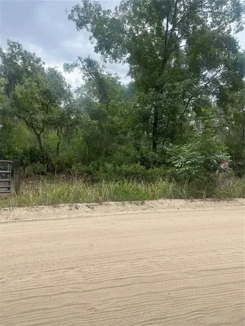 0 Millstream Drive Groveland FL 34736