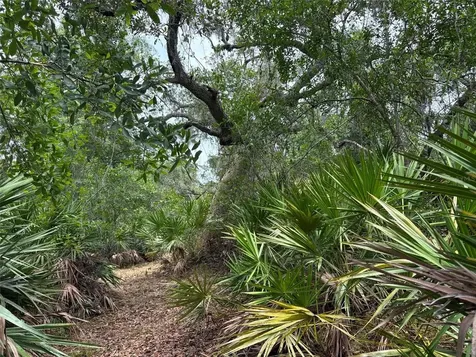 0 Millstream Drive Groveland FL 34736