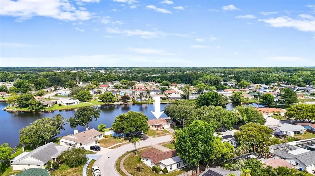 4341 Otter Way New Port Richey FL 34653
