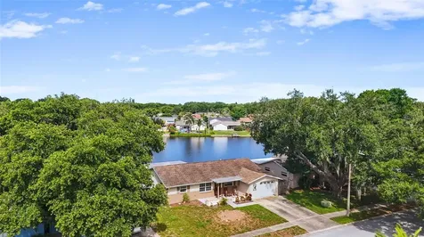 4341 Otter Way New Port Richey FL 34653