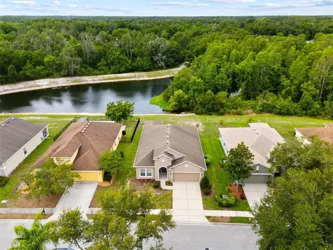 11059 Belle Haven Drive New Port Richey FL 34654