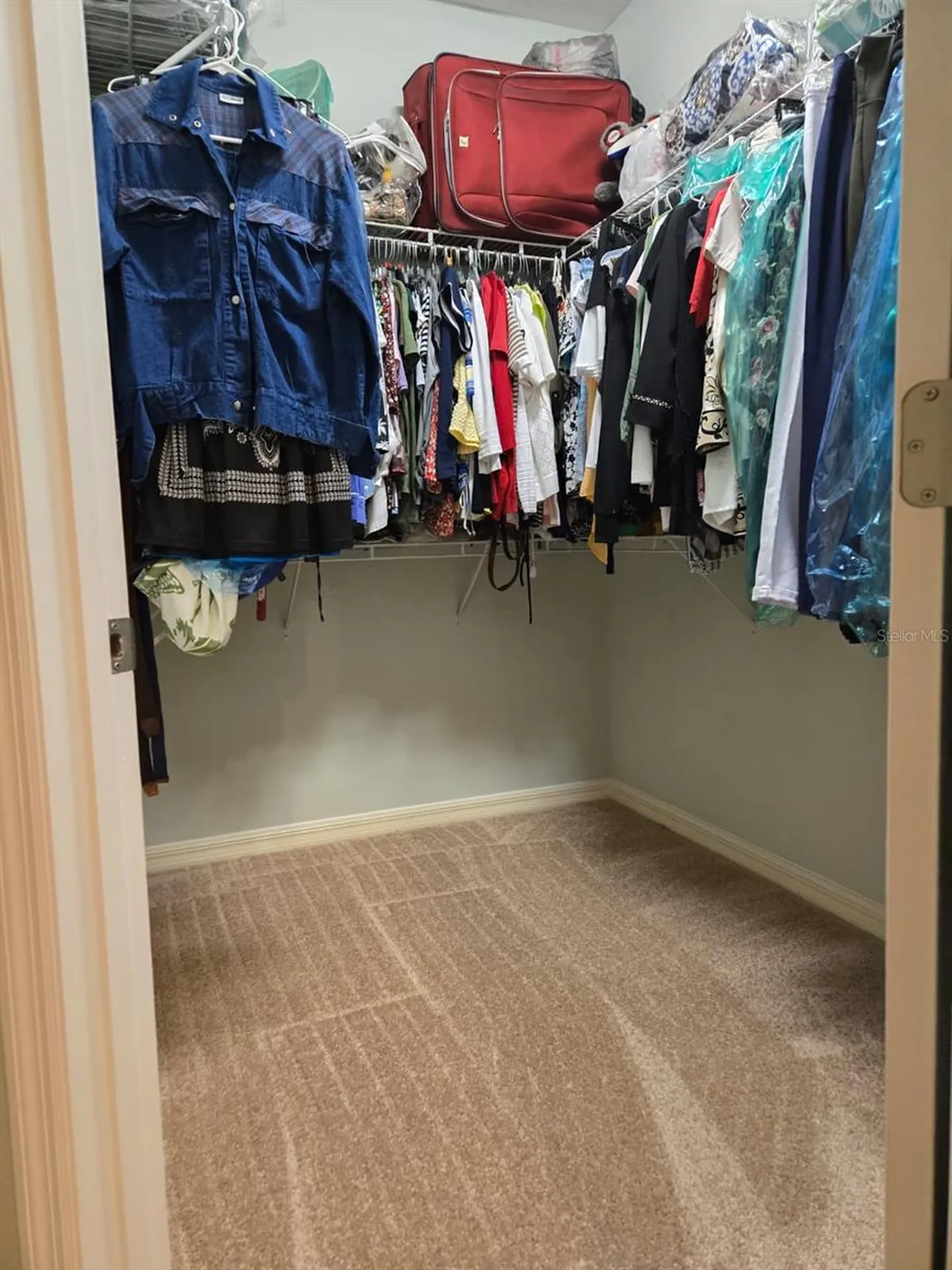 1231 Merion Drive Mount Dora FL 32757