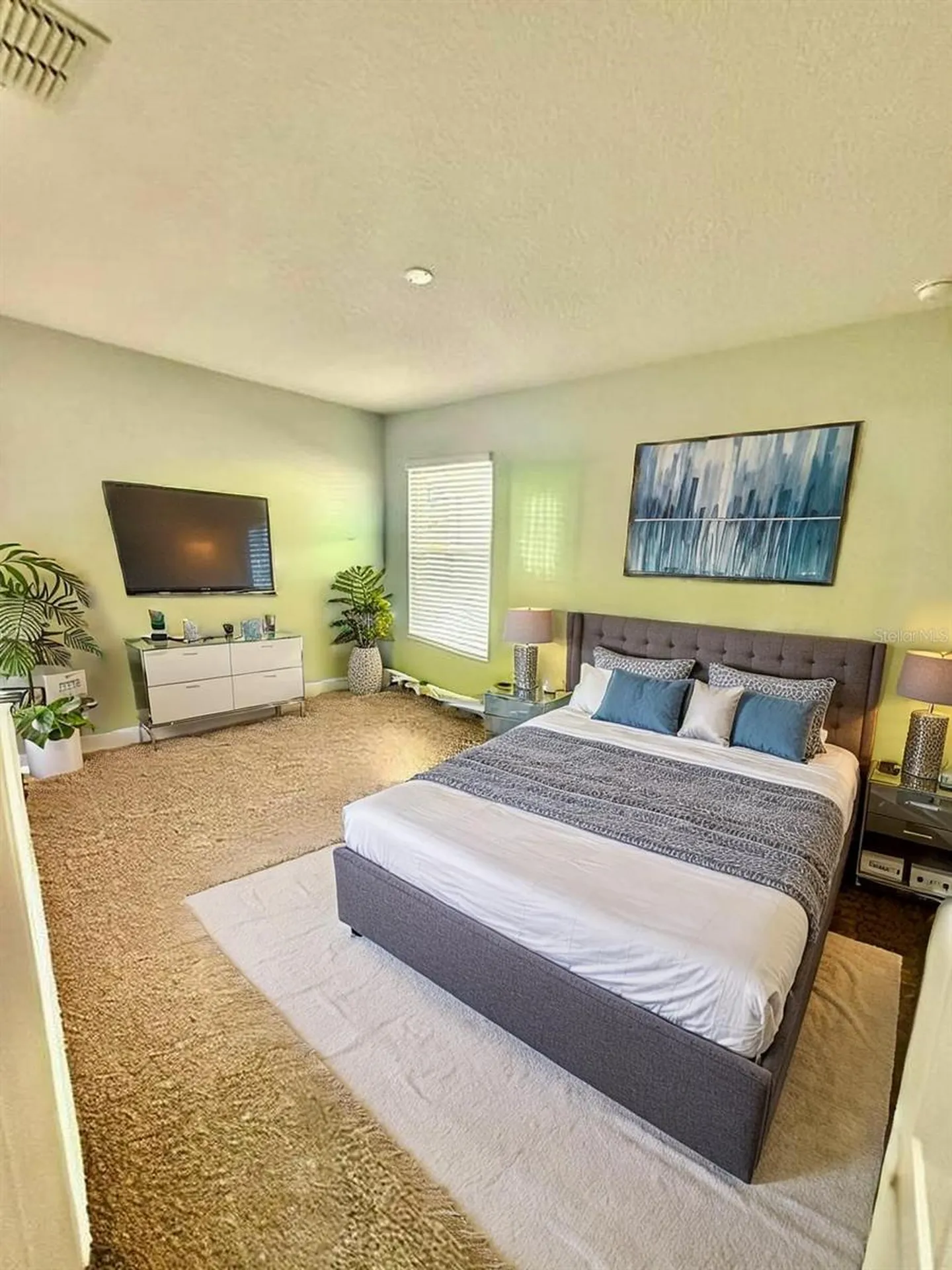 1231 Merion Drive Mount Dora FL 32757