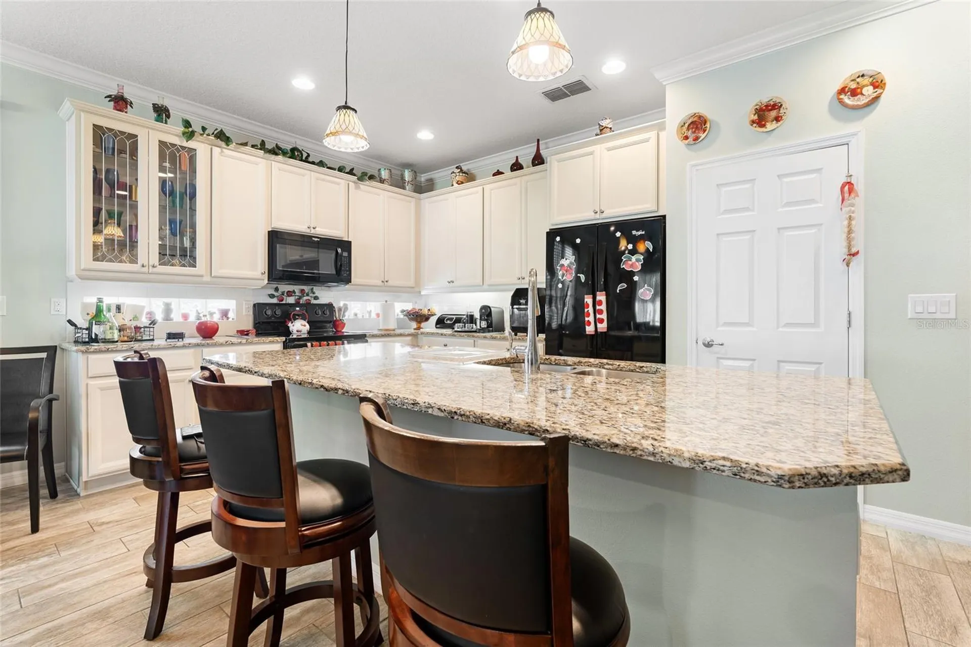 1231 Merion Drive Mount Dora FL 32757