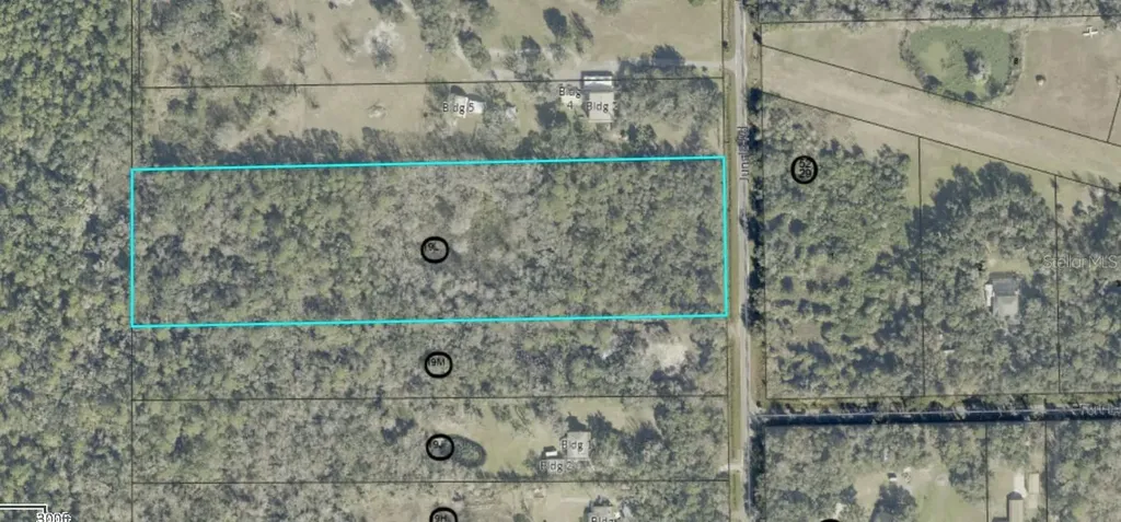 Jungle Road Geneva FL 32732