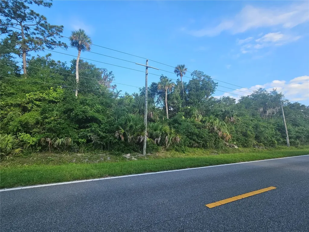 Jungle Road Geneva FL 32732