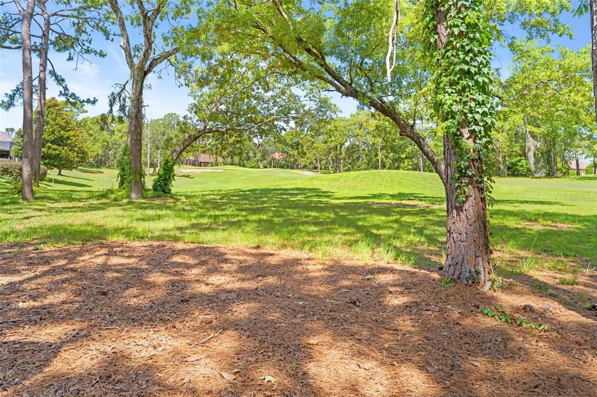 Spring Hill FL 34609