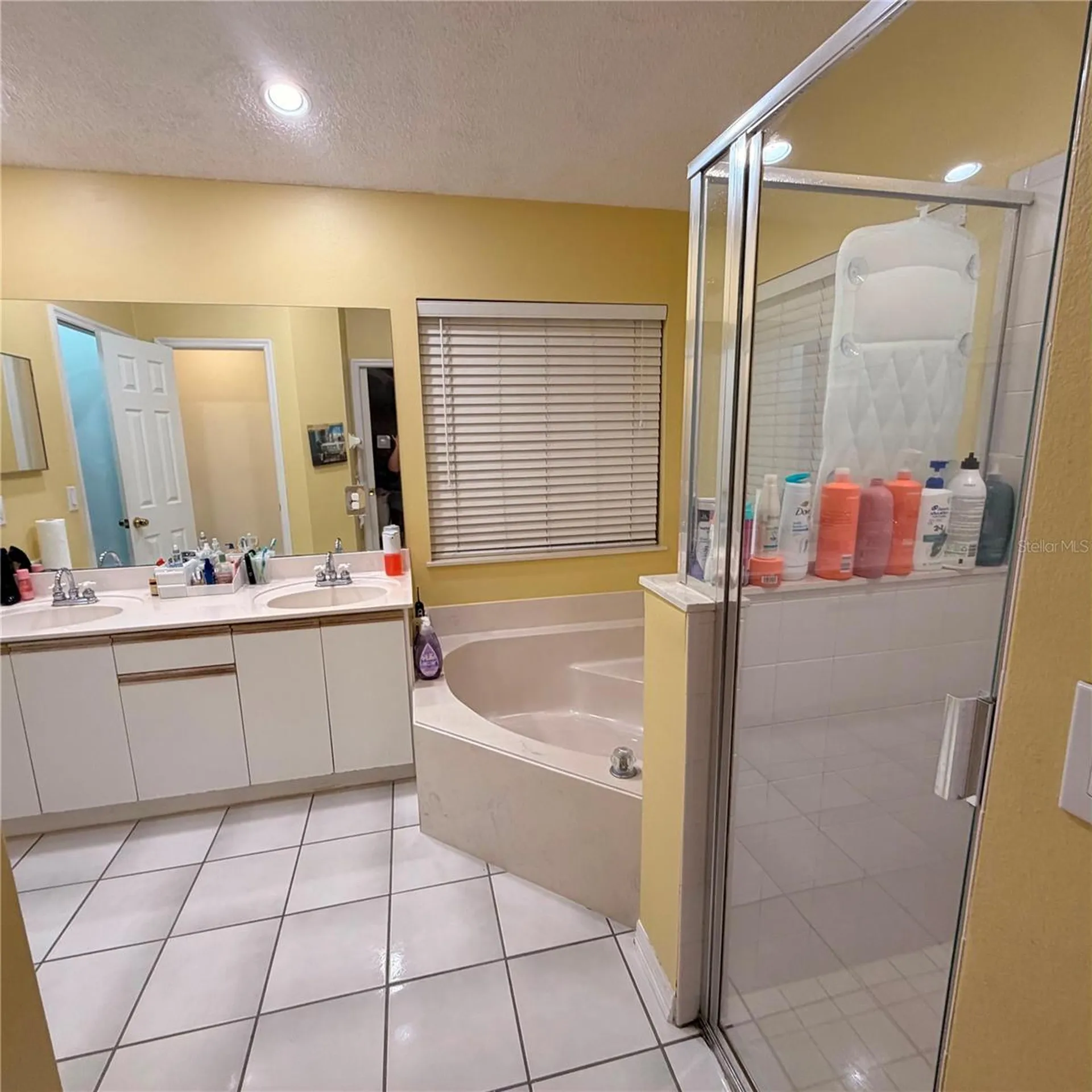 12697 Enclave Drive Orlando FL 32837