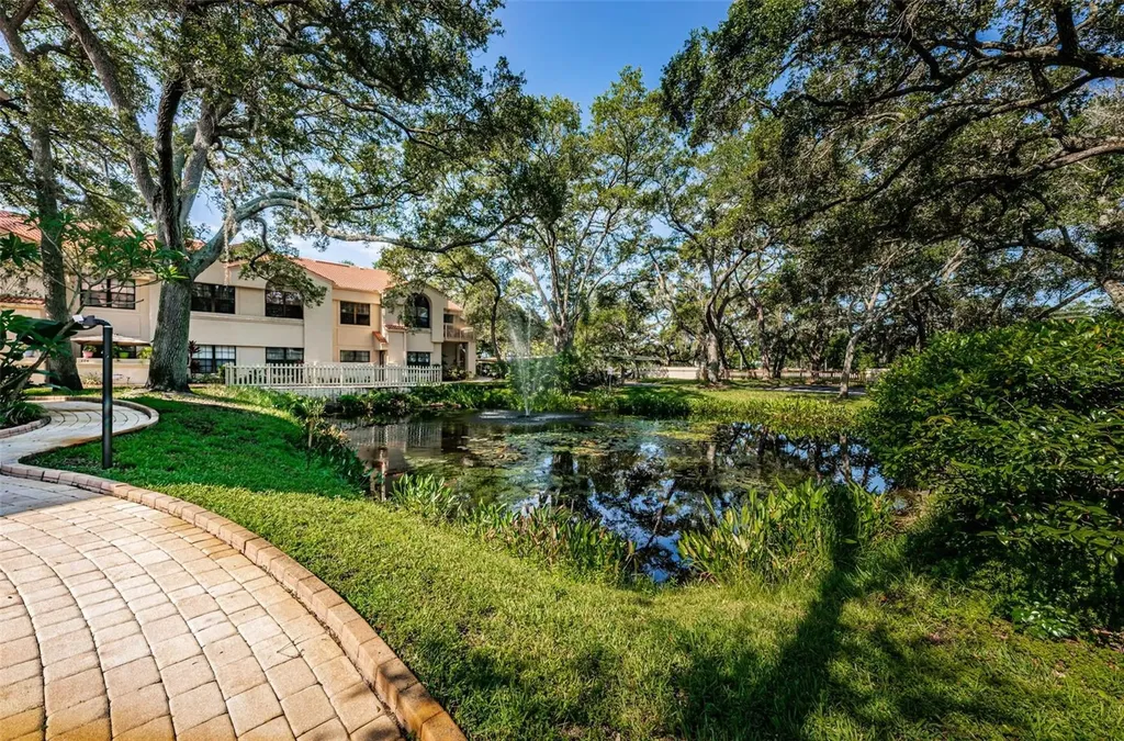 209 Los Prados Drive Safety Harbor FL 34695