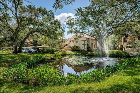 209 Los Prados Drive Safety Harbor FL 34695