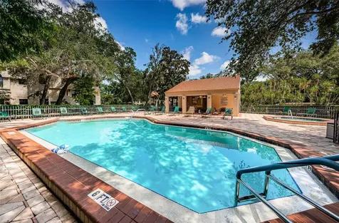 209 Los Prados Drive Safety Harbor FL 34695