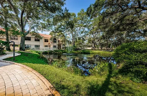 209 Los Prados Drive Safety Harbor FL 34695