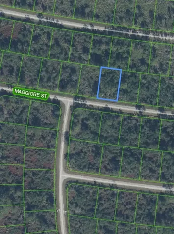 7930 Maggiore Street Sebring FL 33872