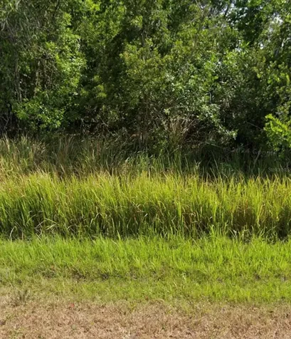 7930 Maggiore Street Sebring FL 33872