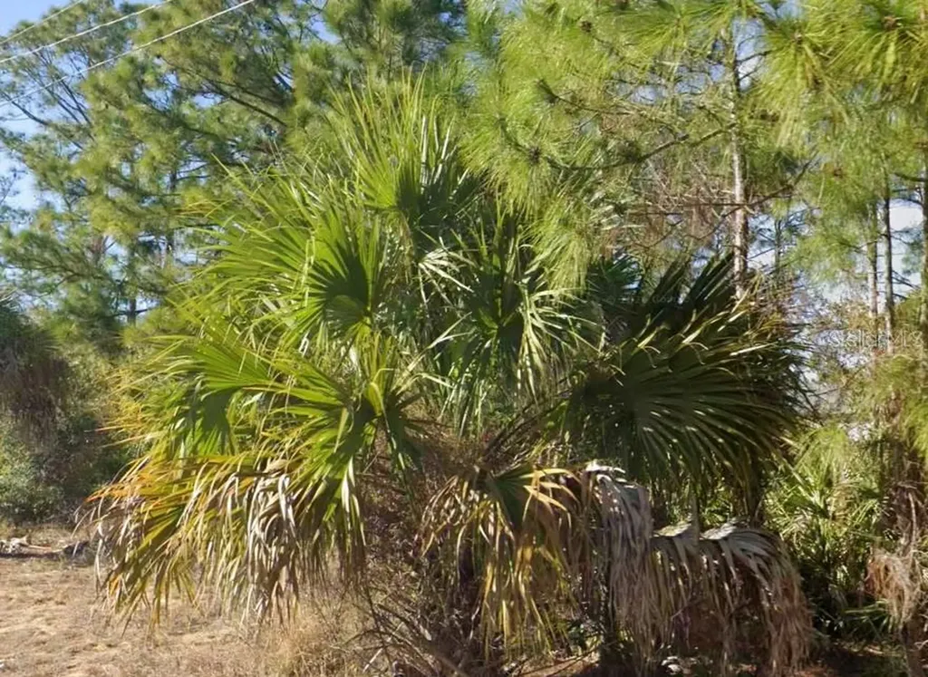 2706 52nd Street W Lehigh Acres FL 33971