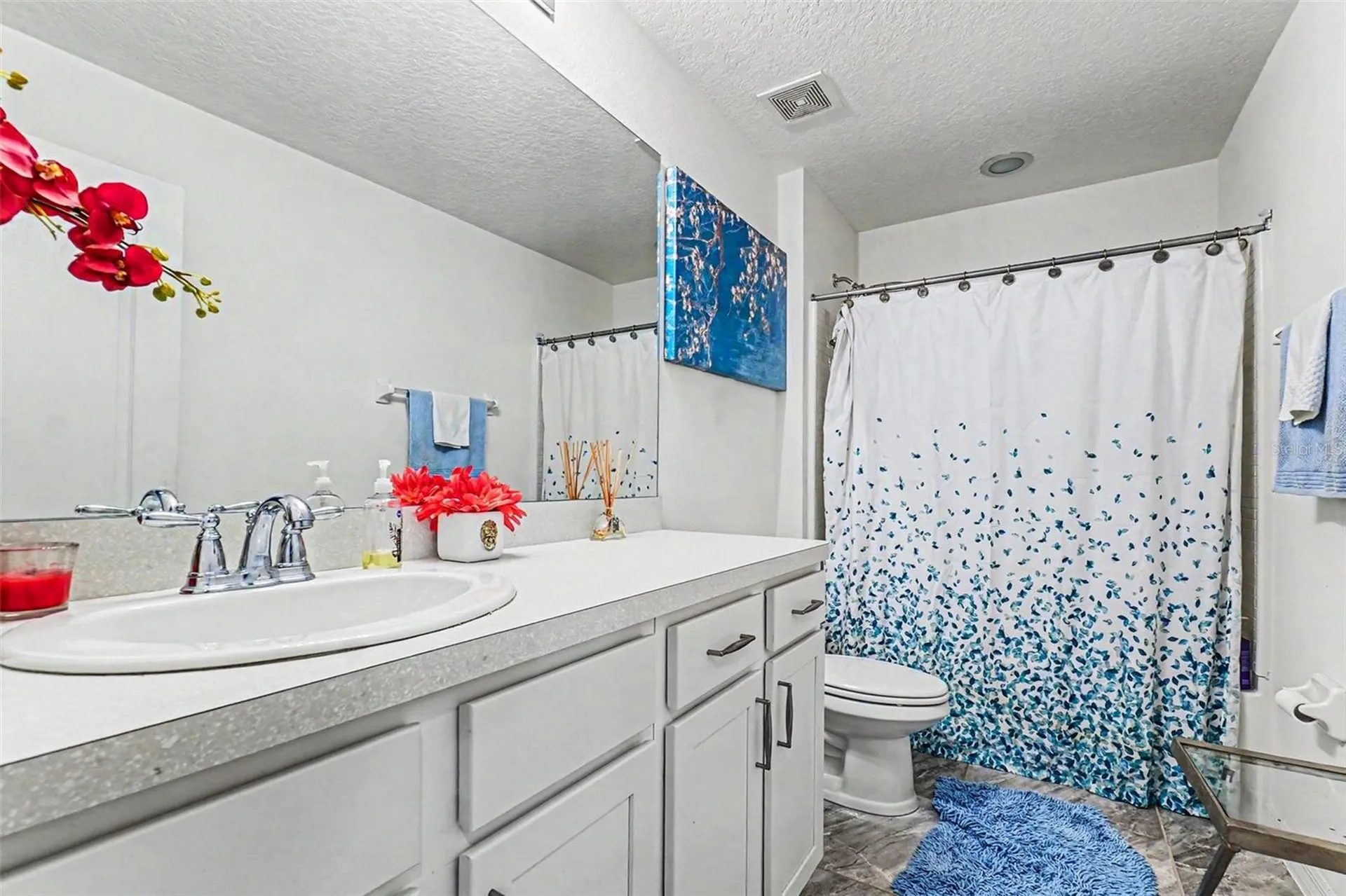 10511 Avian Forrest Drive Riverview FL 33578