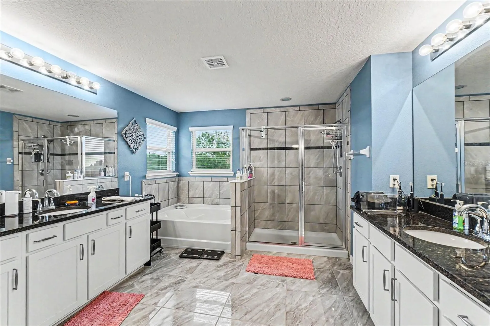 10511 Avian Forrest Drive Riverview FL 33578