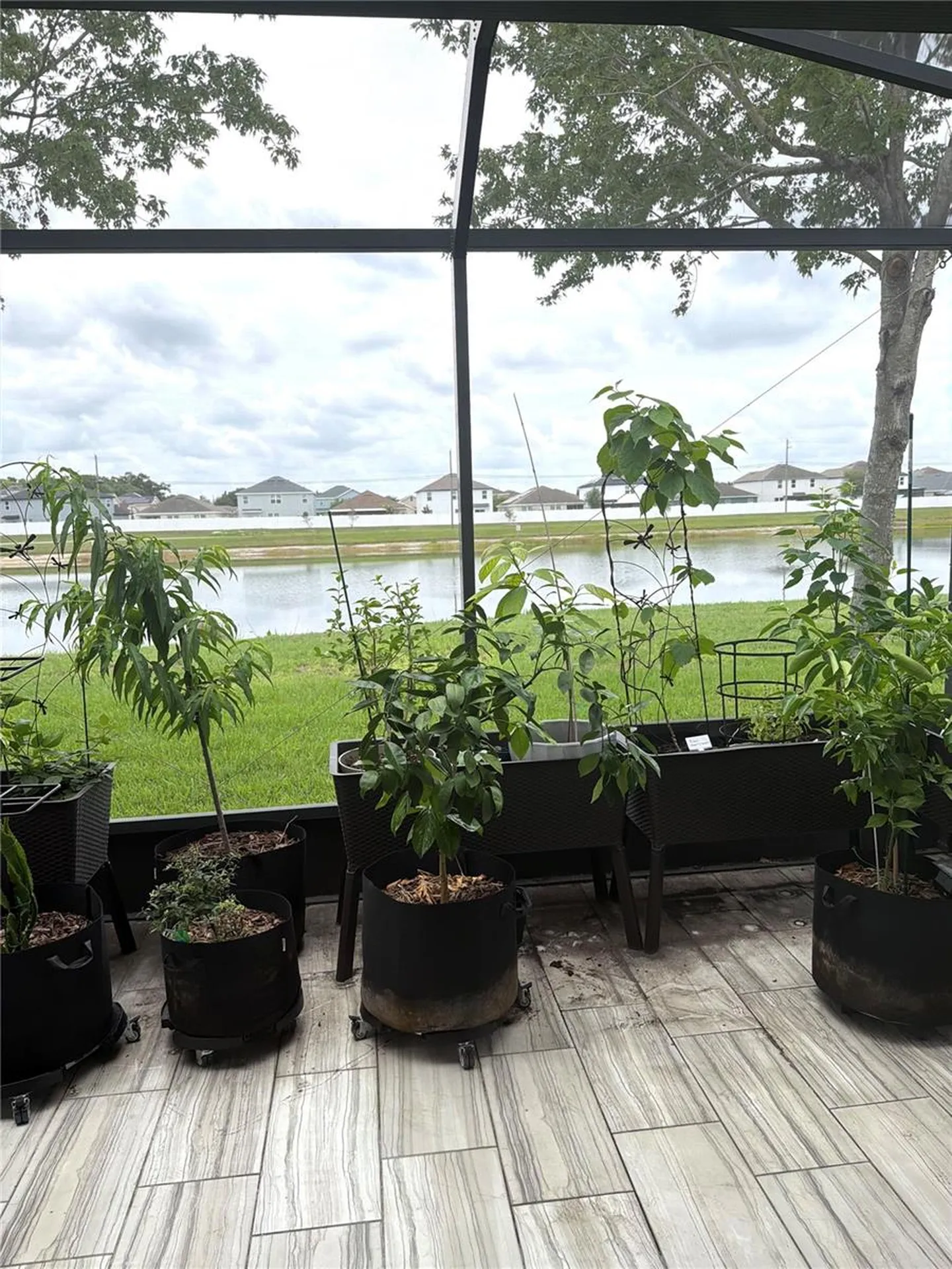 10511 Avian Forrest Drive Riverview FL 33578