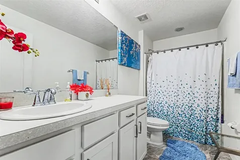 10511 Avian Forrest Drive Riverview FL 33578